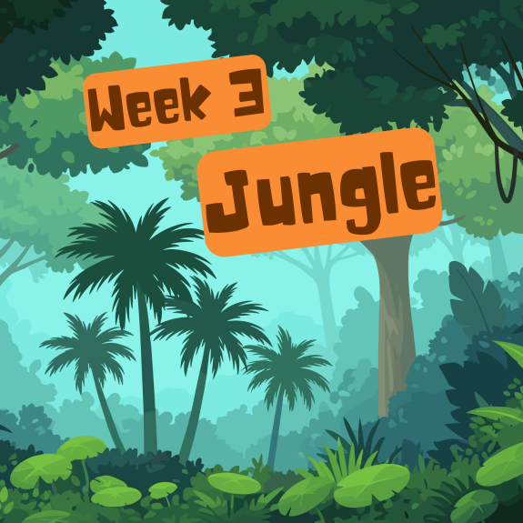Week 3 Jungle